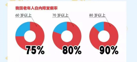 全球致盲的主要原因有哪些？