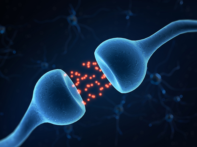 非小細(xì)胞肺癌個體化用藥基因檢測